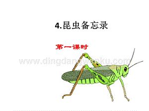 部編人教版小學語文三年級下冊昆蟲備忘錄課件