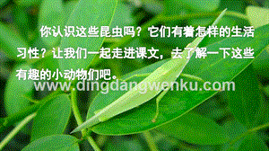 部編人教版小學語文三年級下冊4昆蟲備忘錄課件