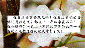 部編人教版小學語文三年級下冊13花鐘課件