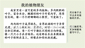 部編人教版小學語文三年級下冊 范文2：我的植物朋友 課件