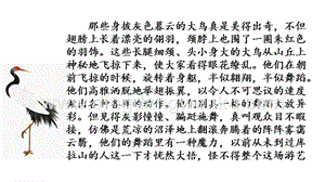 部編人教版小學語文六年級下冊鏈接1：鶴之舞表演大會片段課件