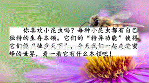 部編人教版小學語文三年級下冊14蜜蜂課件