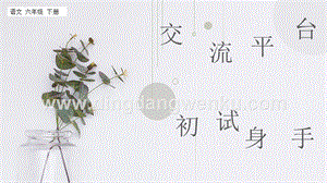 部編人教版小學(xué)語(yǔ)文六年級(jí)下冊(cè) 交流平臺(tái) 初試身手課件