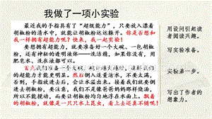 部編人教版小學語文三年級下冊 范文1：我做了一項小實驗 課件