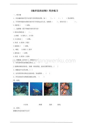 粵教版科學三年級上冊1.5海洋里的動物（同步練習