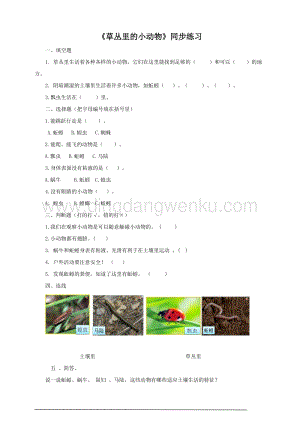 粵教版科學(xué)三年級上冊1.4草地里的小動物（同步練習(xí)
