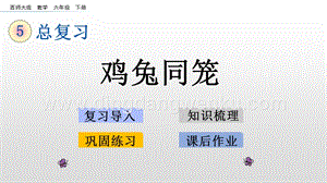 西師大版六年級下冊數學總復習1.20 雞兔同籠 ppt課件.pptx