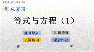 西師大版六年級下冊數學總復習1.8等式與方程（1）ppt課件.pptx