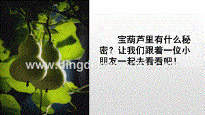 人教版部編版四年級下冊語文25寶葫蘆的秘密（節(jié)選）ppt課件.pptx