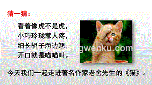 人教版部編版四年級下冊語文13貓ppt課件.pptx