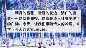 人教版部編版四年級下冊語文11白樺ppt課件.pptx
