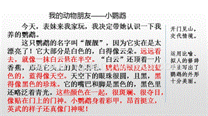 人教版部編版四年級下冊語文范文1：我的動物朋友小鸚鵡ppt課件.pptx