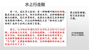 人教版部編版四年級下冊語文范文1：水上行走鞋ppt課件.pptx