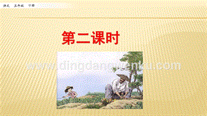 人教部編版五年級下冊語文 2 祖父的園子 第二課時 ppt課件.pptx