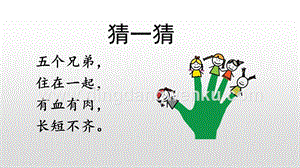 人教部編版五年級(jí)下冊(cè)語(yǔ)文22手指精品ppt課件.pptx