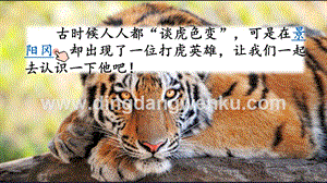 人教部編版五年級下冊語文6景陽岡精品ppt課件.pptx