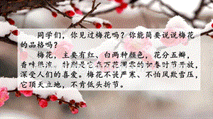 人教部編版五年級下冊語文4梅花魂精品ppt課件.pptx
