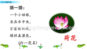 人教部編版（五四制）一年級下冊語文12古詩二首ppt課件.pptx