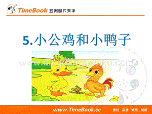 人教部編版（五四制）一年級(jí)下冊(cè)語(yǔ)文5小公雞和小鴨子ppt課件.ppt
