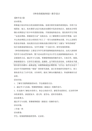 三年級綜合活動實踐教案-神奇的嫁接體驗 教學設計（全國通用）.doc
