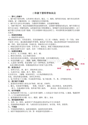 粵教粵科版二年級下冊科學知識點.doc