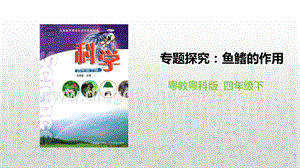 粵教版四年級下冊科學 《專題探究：魚鰭的作用》 PPT課件.pptx