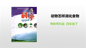 粵教版四年級下冊科學動物怎樣消化食物PPT課件.pptx