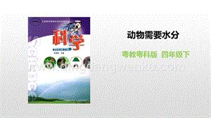粵教版四年級(jí)下冊(cè)科學(xué)動(dòng)物需要水分PPT課件.pptx