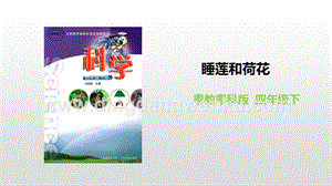 粵教版四年級下冊科學 1.6《睡蓮和荷花》課件 PPT課件.pptx