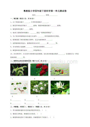粵教版科學四年級下冊 第一單元 身邊的植物 單元測試卷.doc