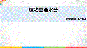 2020新粵教版五年級上冊科學《植物需要水分》ppt課件（含教案+練習）.pptx
