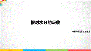 2020新粵教版五年級上冊科學《根對水分的吸收》ppt課件（含教案+練習）.pptx