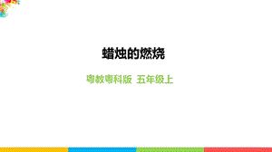 2020新粵教粵科版版五年級上冊科學3.12《蠟燭的燃燒》教學課件.pptx