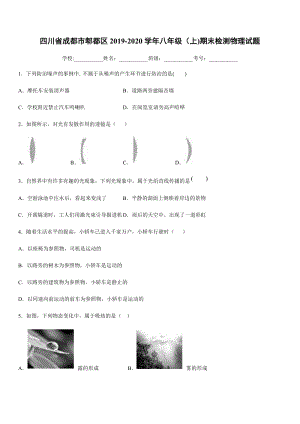 2019-2020學年八年級（上)四川省成都市郫都區期末檢測物理試題.docx