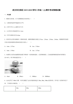 2019-2020學年八年級（上)武漢市漢陽區期中考試物理試題.docx