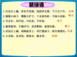 部編版一年級上冊語文6比尾巴-陸老師-甘肅省省級優秀課件.ppt