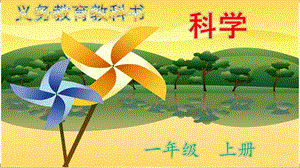 1我們知道的植物公開課課件（陜西高老師縣優）.pptx