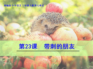 部編版三年級(jí)上冊(cè)語(yǔ)文23帶刺的朋友2公開(kāi)課課件（廣東萬(wàn)老師部級(jí)優(yōu)課）.pptx