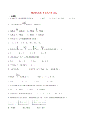 人教版七年級數(shù)學上冊整式的加減單項式與多項式課后練習.doc
