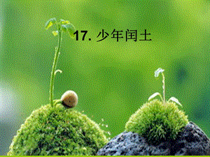 人教部編版版六年級上冊語文少年閏土公開課課件（青海吳老師省級優課）.ppt