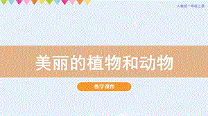 人教版一年級上冊美術第20課美麗的植物和動物教學課件.pptx