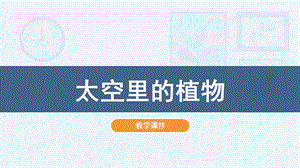 人教版一年級下冊美術(shù)11太空里的植物教學(xué)課件.pptx