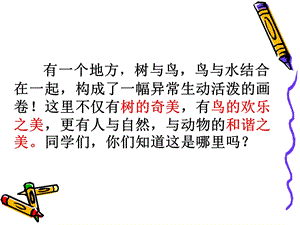 部編版五年級上冊語文《鳥的天堂》公開課課件（河南趙老師部級優課）.ppt