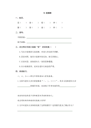 部編版小學(xué)語(yǔ)文六年級(jí)上冊(cè)14 在柏林 課時(shí)練習(xí)題（含答案）.doc