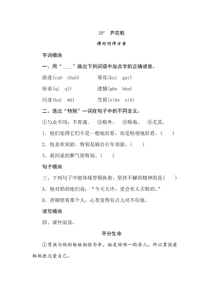四年級下冊語文試題-20蘆花鞋課時測評卷人教部編版含答案.doc