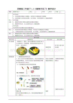 蘇教版（2020）科學三年級下1.3植物開花了教案.doc