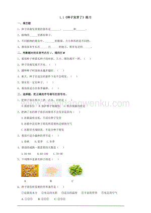 蘇教版（2020）科學三年級下1.1種子發芽了練習.doc