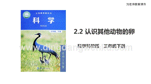 2020版教科版三年級下冊科學(xué)2.2認(rèn)識其他動物的卵（課件）.ppt