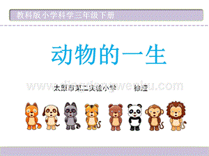 教科版三年級下冊科學動物的一生教學課件.pptx