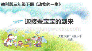教科版三年級下冊科學迎接蠶寶寶的到來教學課件.pptx